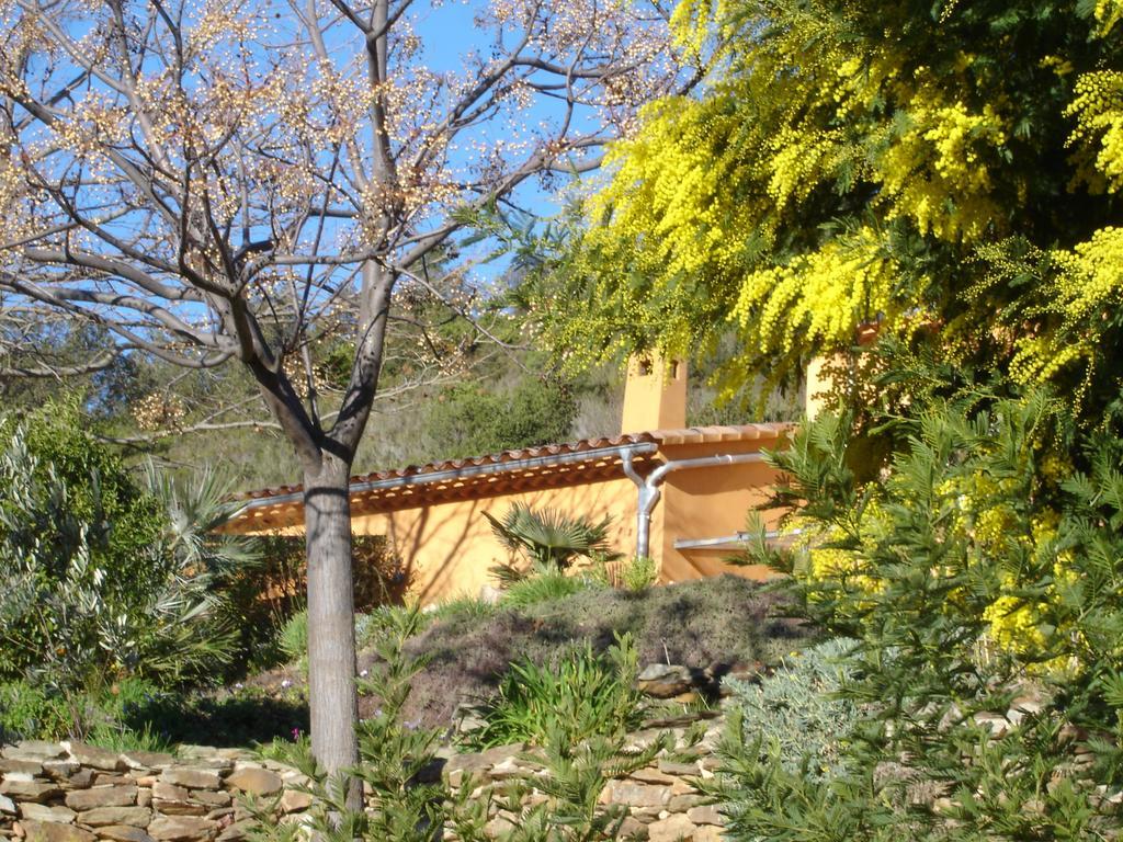 House With Garden And Sea View Villa La Londe-les-Maures Room photo